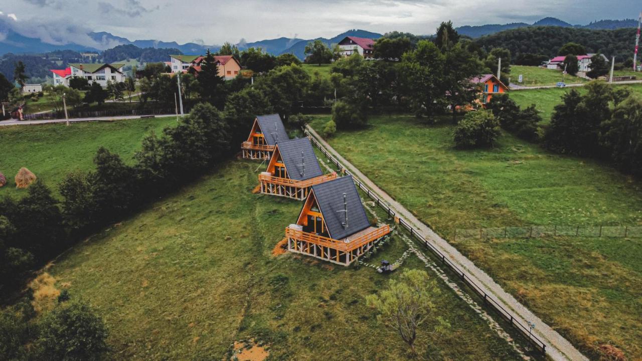 Cabana 365 Braşov Extérieur photo