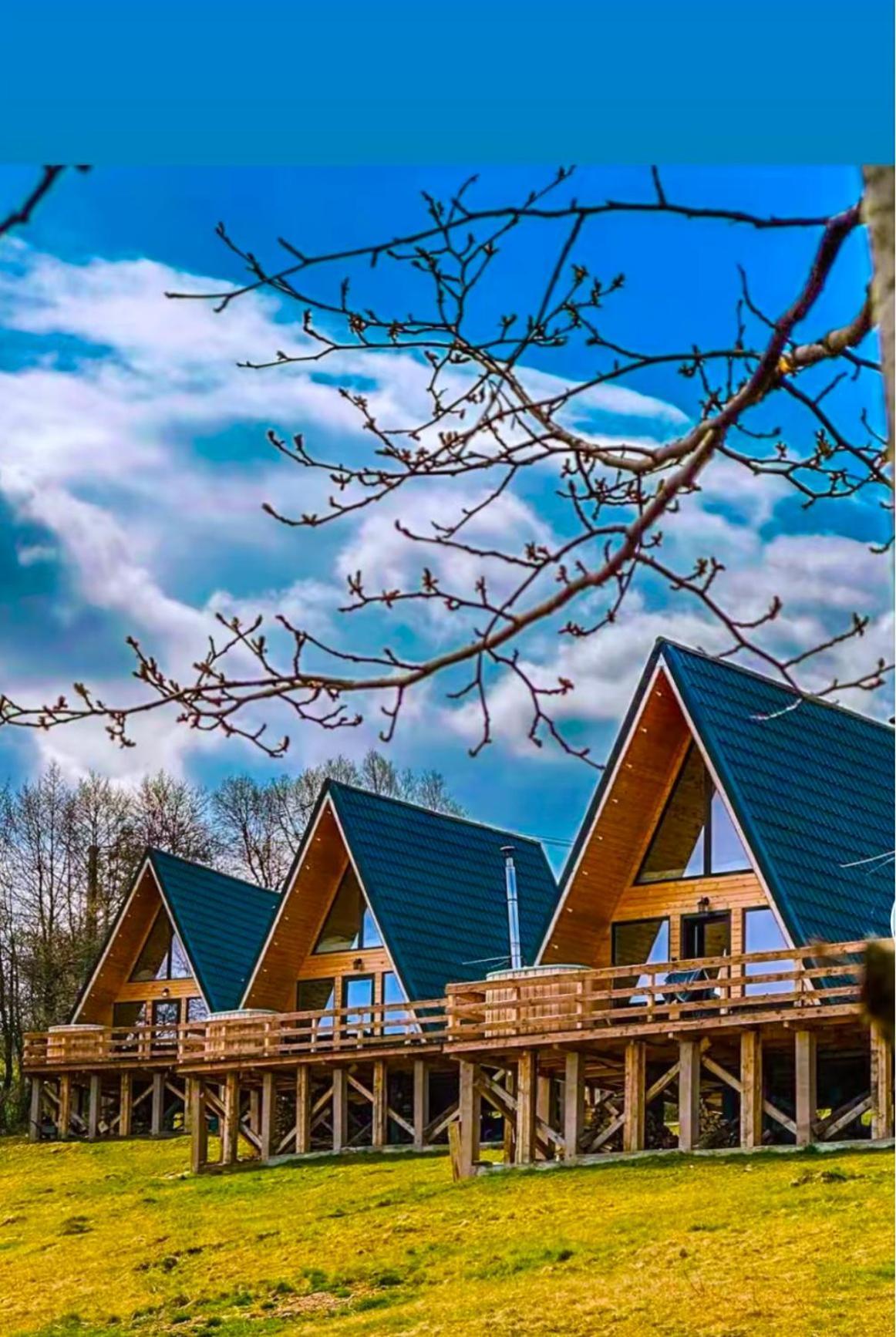 Cabana 365 Braşov Extérieur photo