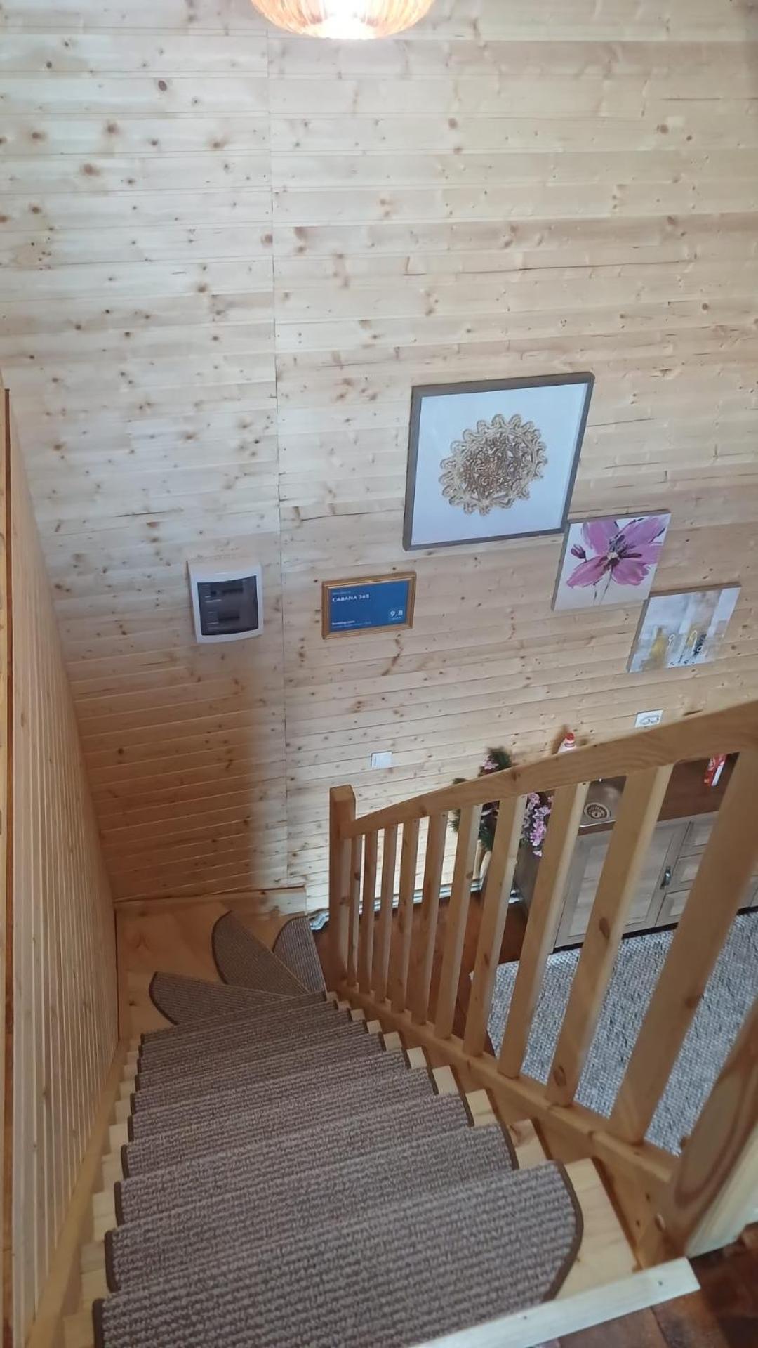 Cabana 365 Braşov Extérieur photo