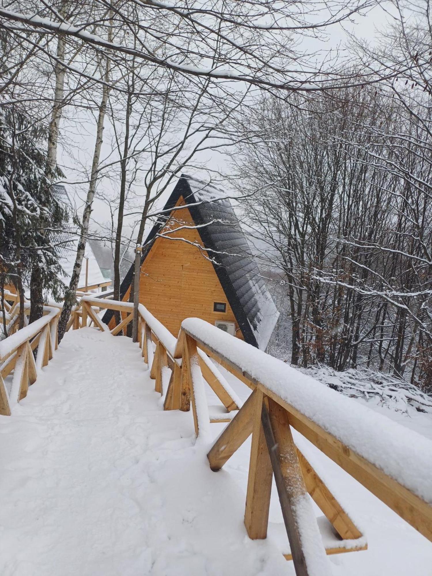 Cabana 365 Braşov Extérieur photo